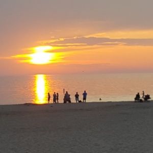 Meet your Posher, Lynn